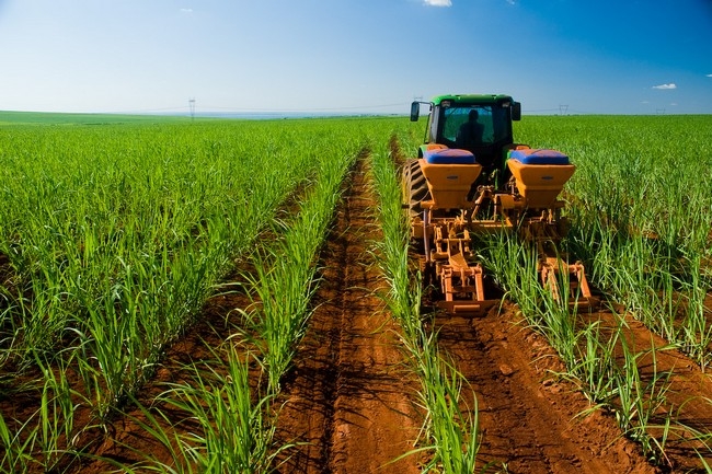 agroindustria